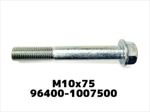FLANGE BOLT
M10x75